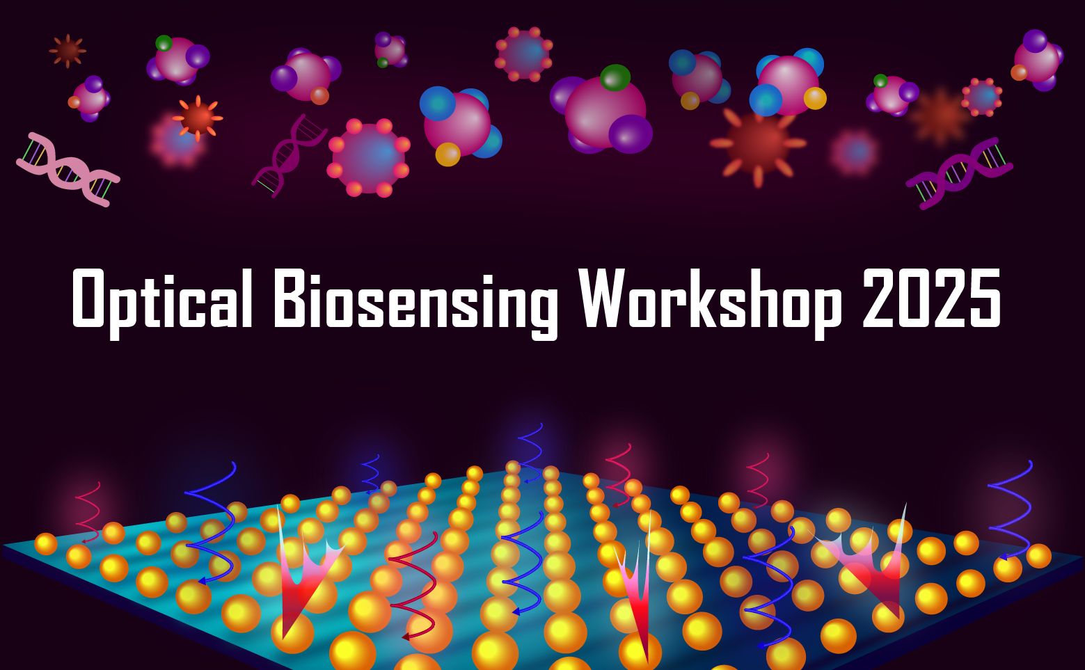Optical Biosensing Workshop 2025