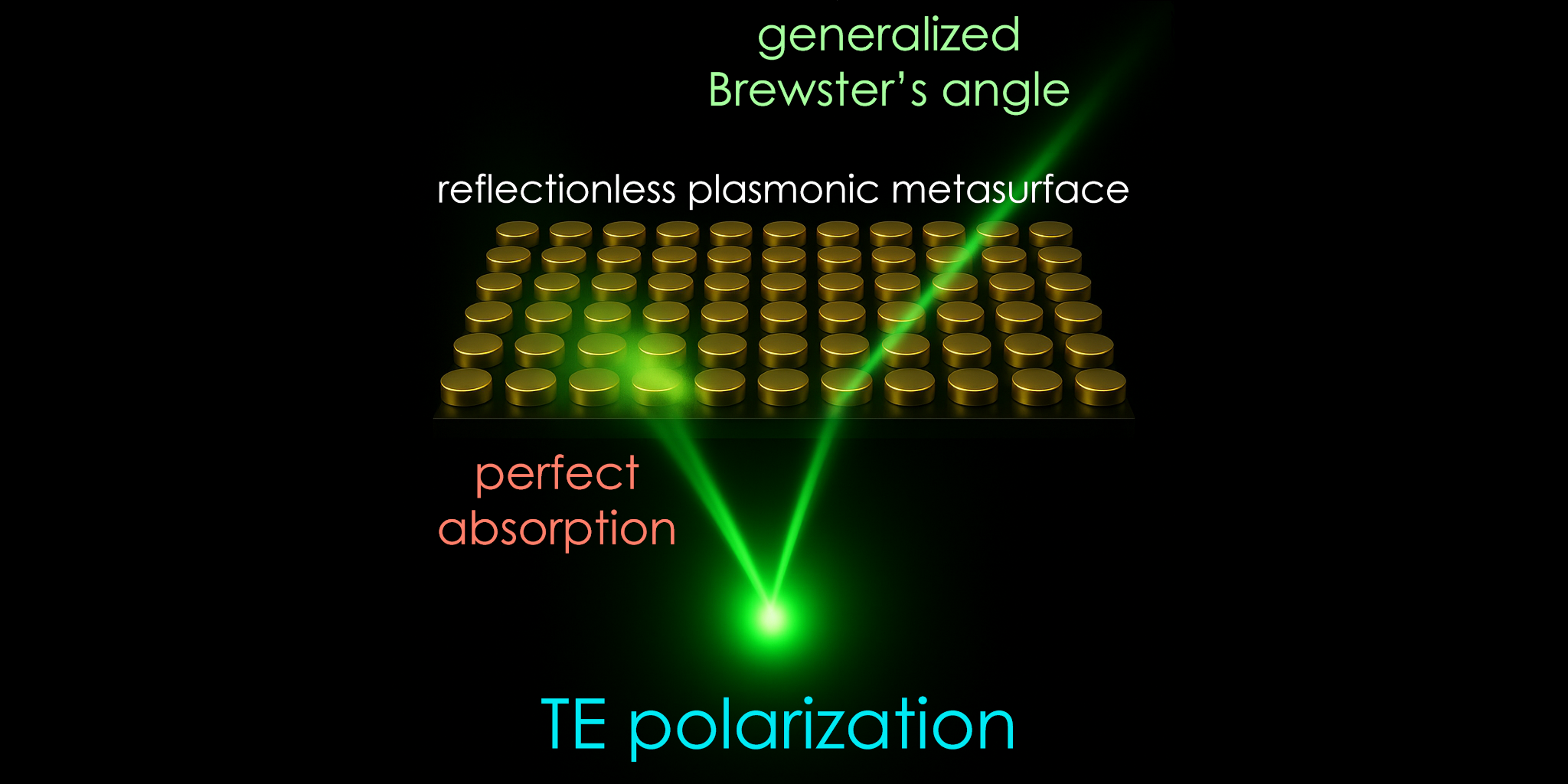 Optical Biosensing Workshop 2025